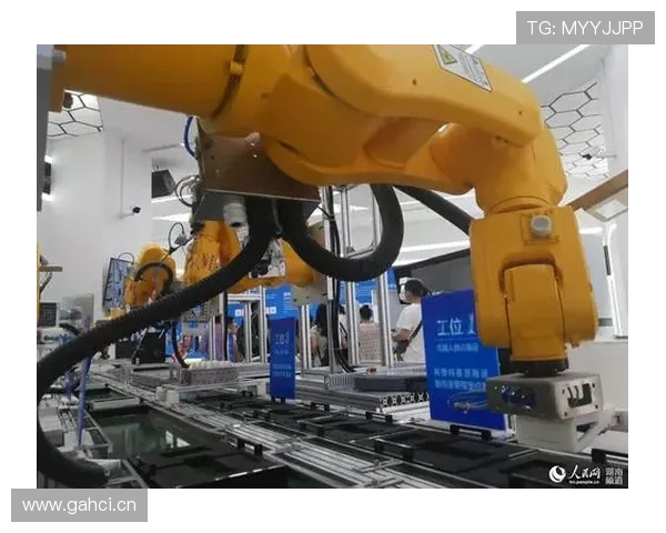 蕲春企业家风采:探索创新与发展之路,推动地方经济腾飞