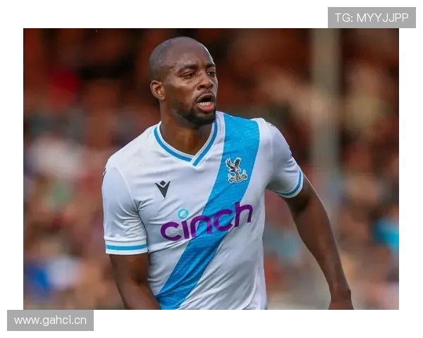 水晶宫不售马特塔维拉欲引核心