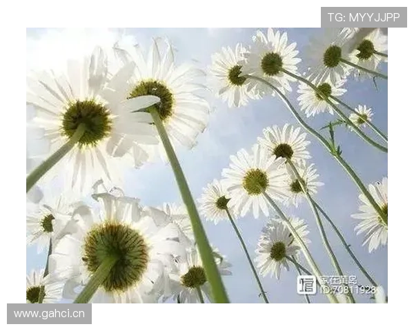 99点99分背后的母爱期许